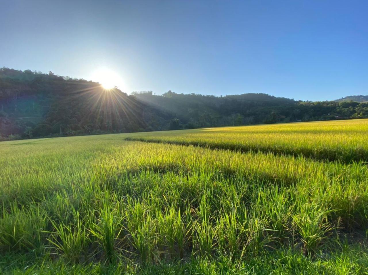 Tanah Merah Glamping Village クアラ・カンサー エクステリア 写真