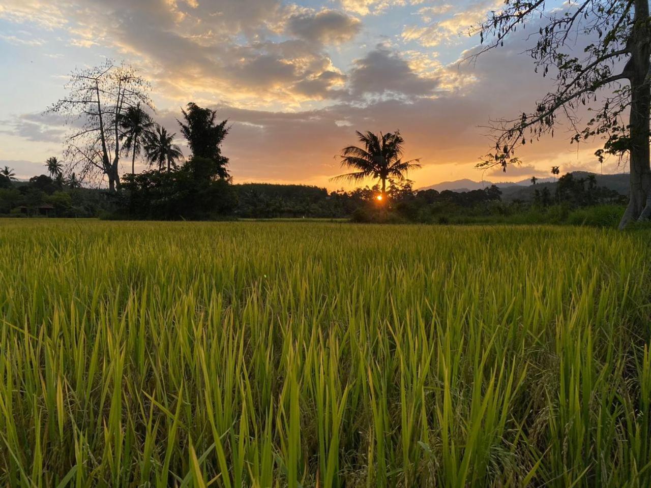 Tanah Merah Glamping Village クアラ・カンサー エクステリア 写真